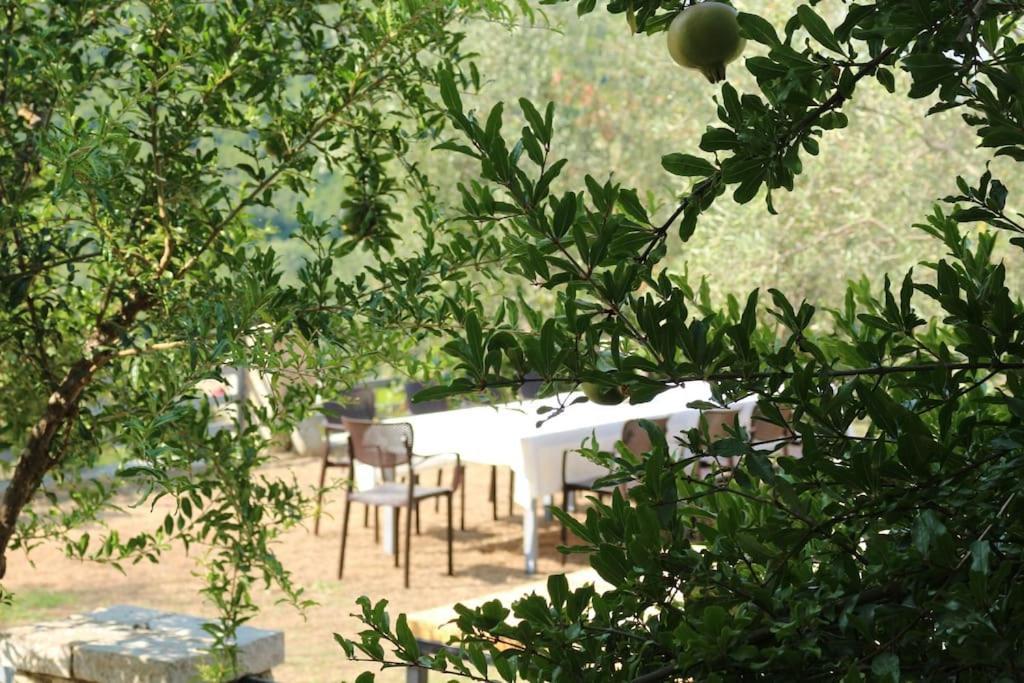 Private Hillside Villa Near Teg Full Privacy Tiran Dış mekan fotoğraf