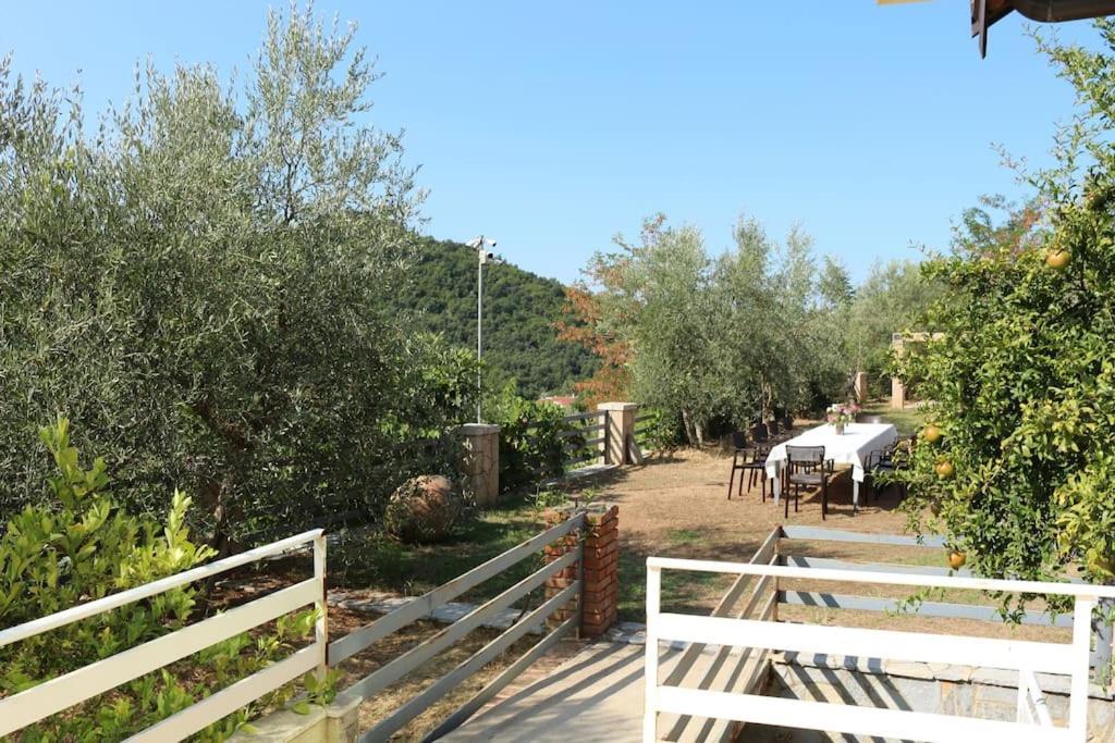 Private Hillside Villa Near Teg Full Privacy Tiran Dış mekan fotoğraf